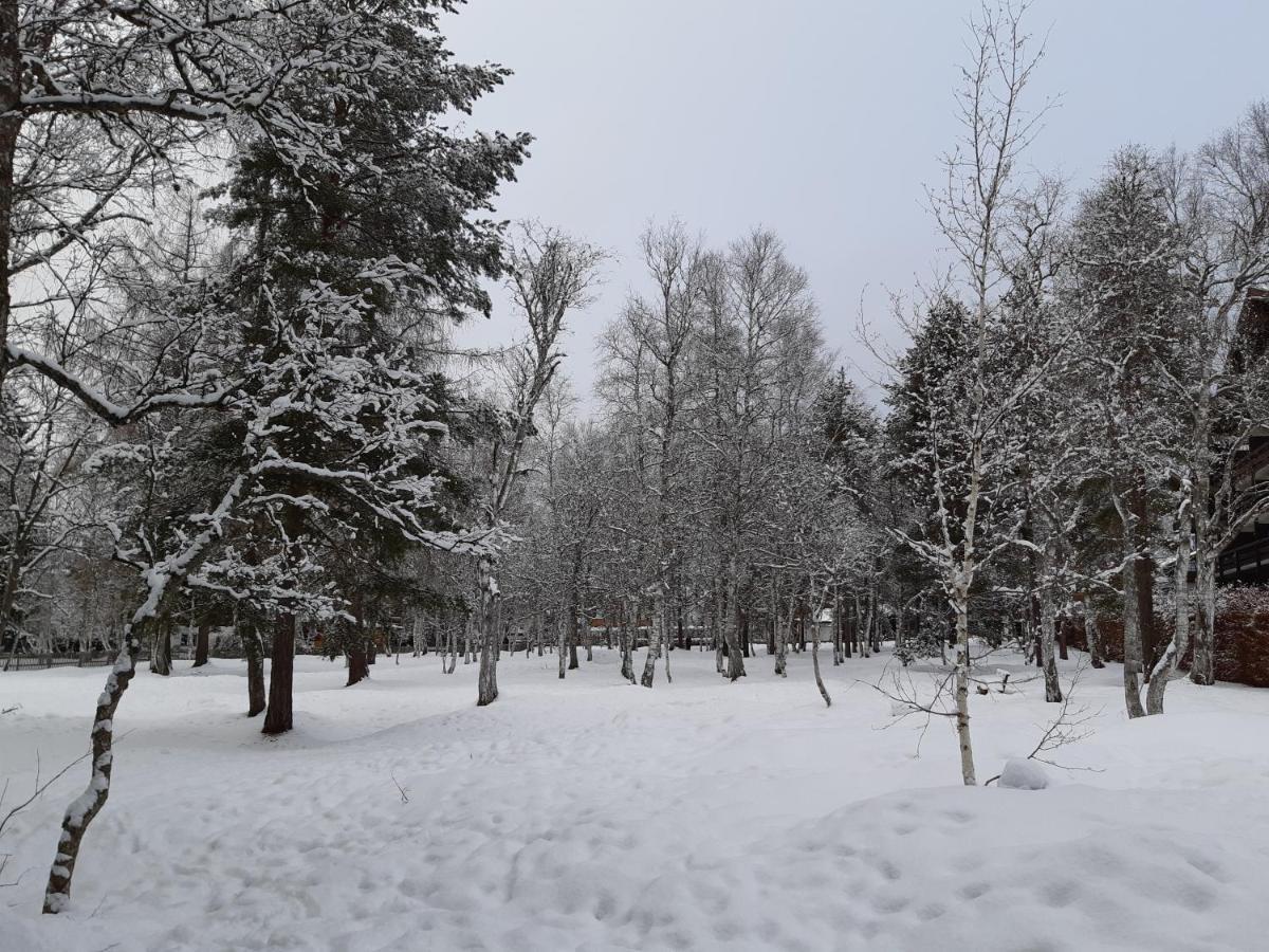 Suite Panoramablick Seefeld 蒂罗尔-泽费尔德 外观 照片